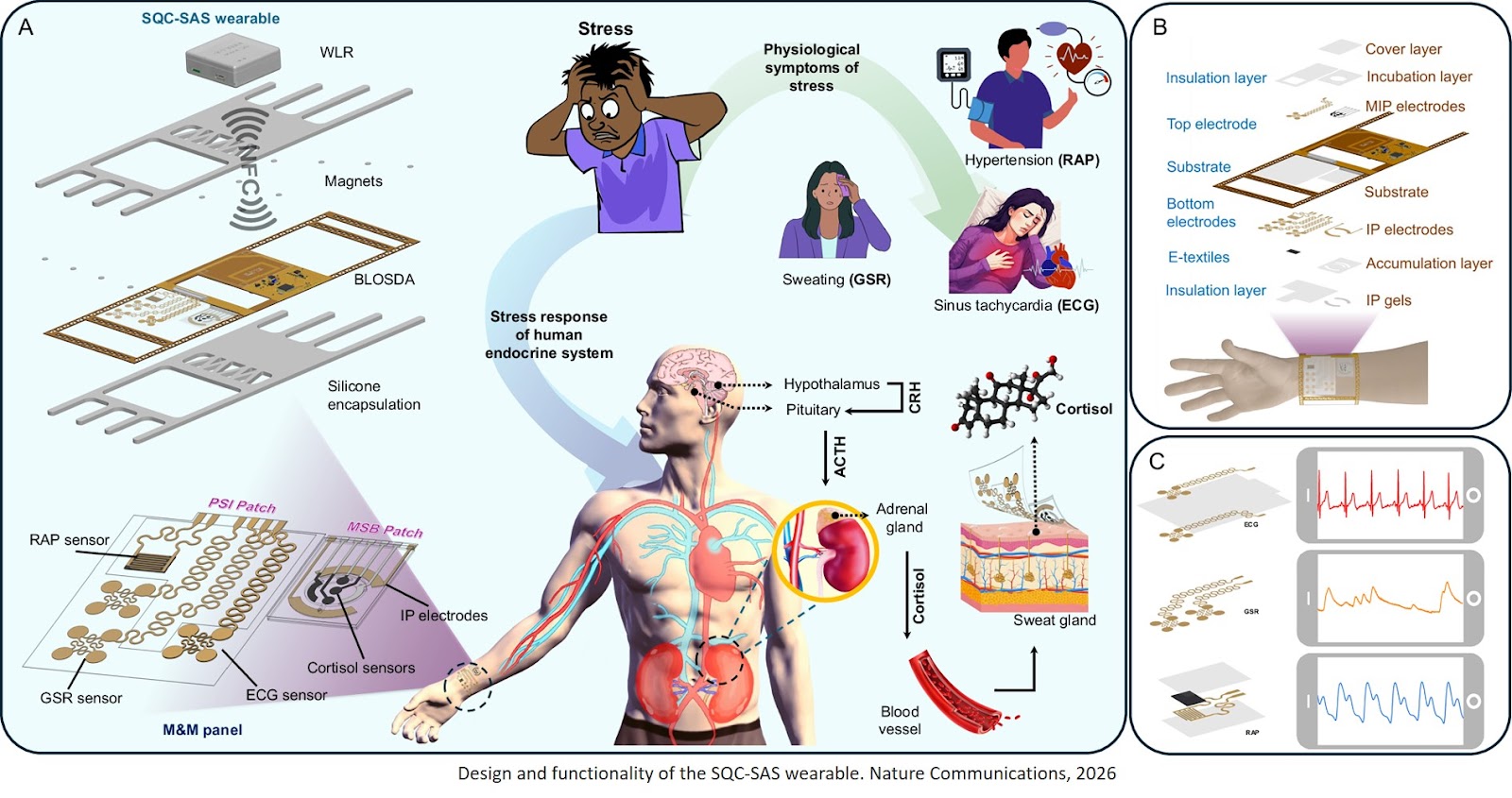 Smart, wearable bioelectronic stress assessment device