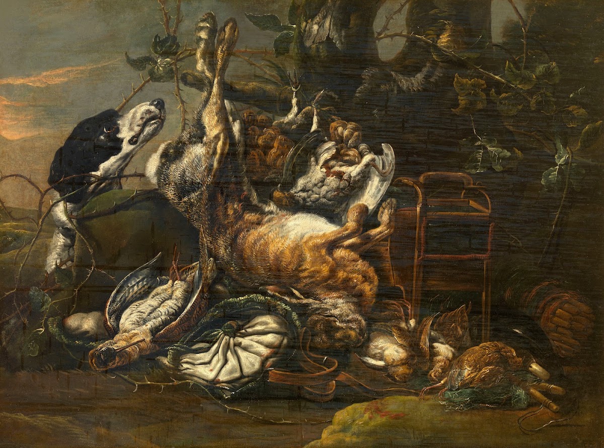 Still Life