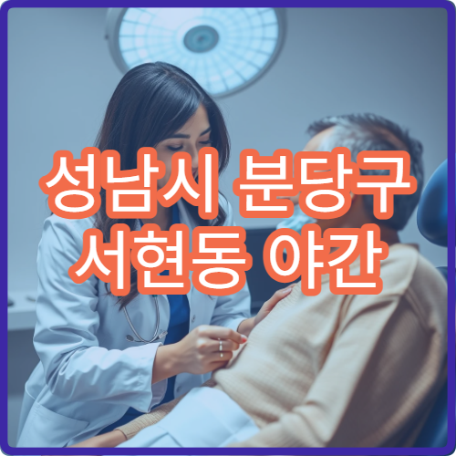 성남시 분당구 서현동 야간 치과 진료 가능한 병원 야간 치과 진료 정보