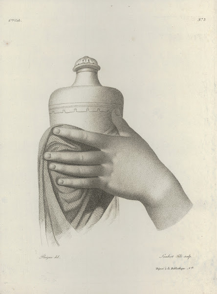 Study of a hand