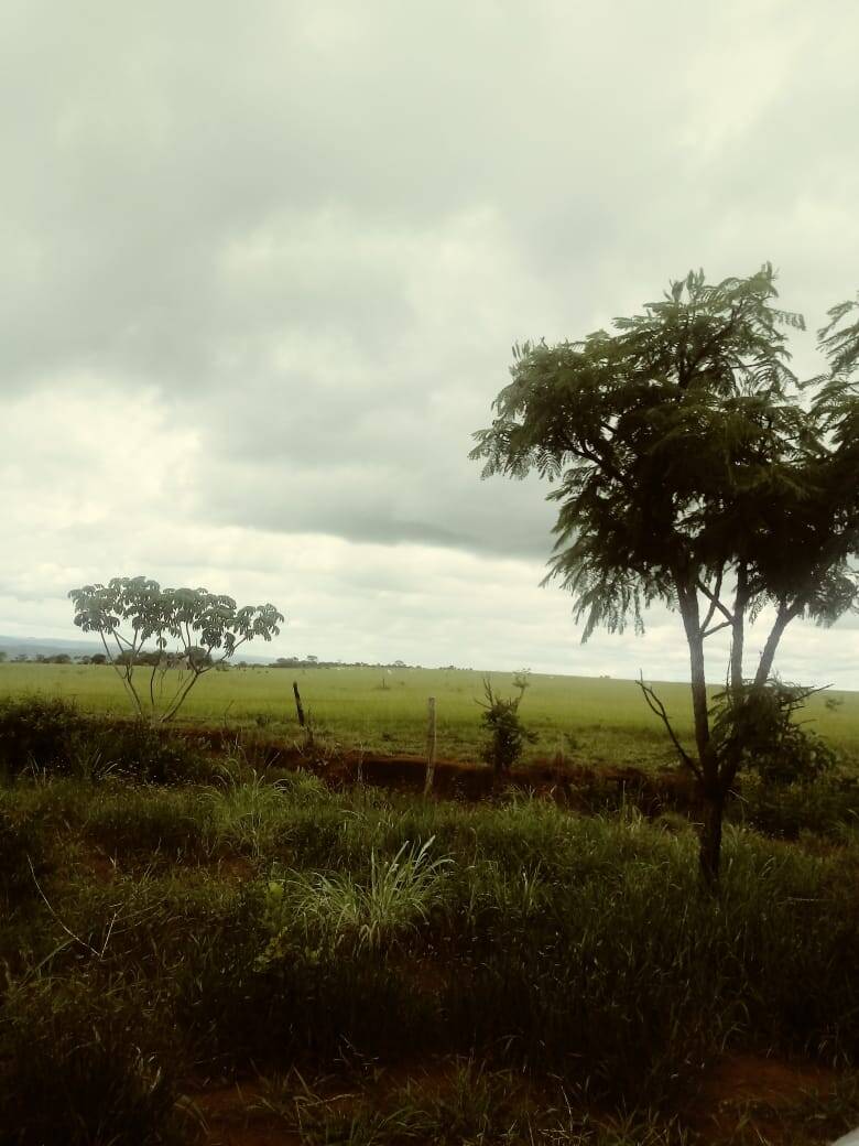 Fazenda em Niquelândia-GO 6