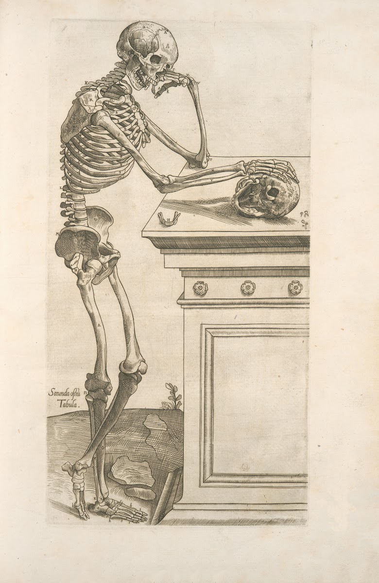 Secunda ossium tabula Human skeleton inspecting a skull and in deep thinking 154