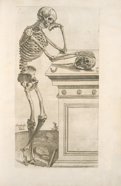 Secunda ossium tabula Human skeleton inspecting a skull and in deep thinking 154
