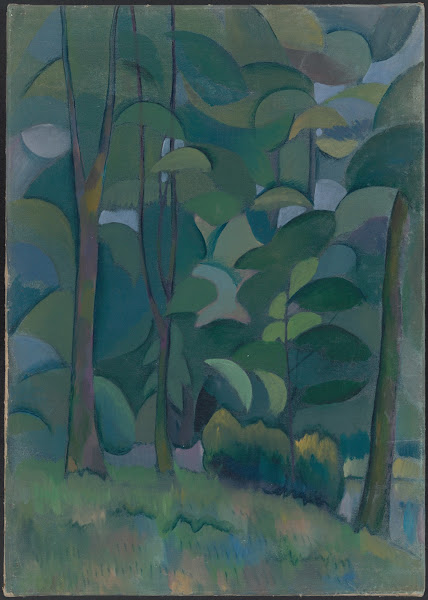Forest 1908 1910