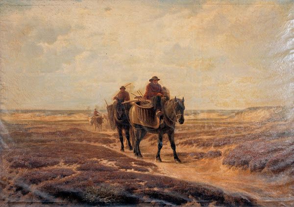 Garnaalvissers