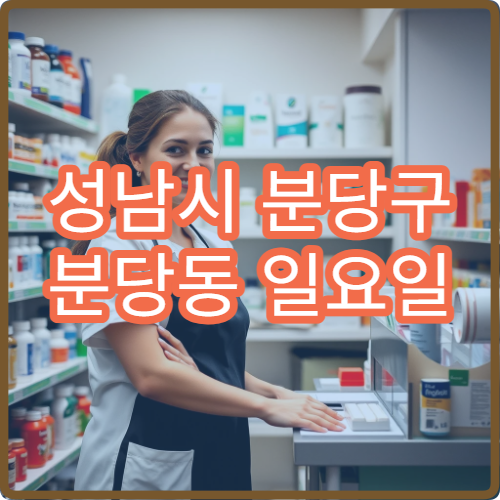 성남시 분당구 분당동 일요일 약국 주말 이용 가능한 곳