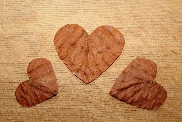 &lsquo;억울하다&rsquo;는 감정은 왜 생길까?