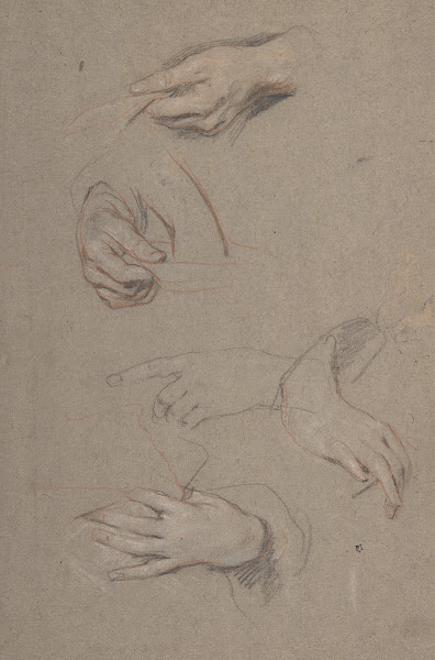 Studies of Hands 163080