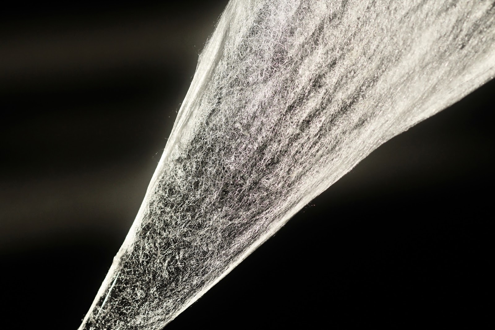 養蚕農家での実践を通じた平面吐糸の感性的価値の探究-thumb-3