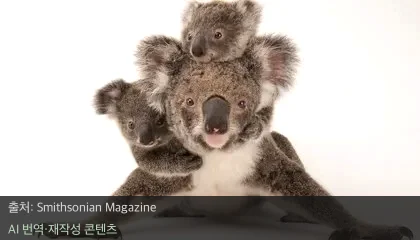 멸종위기 동물 사진 - 18,000종의 생명을 담다: 멸종위기 동물 사진 프로젝트