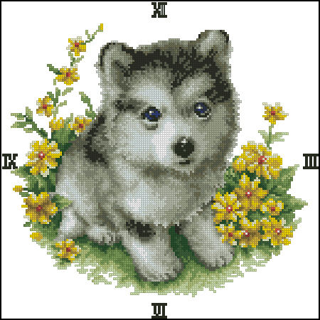 CMP TK11 My Dog