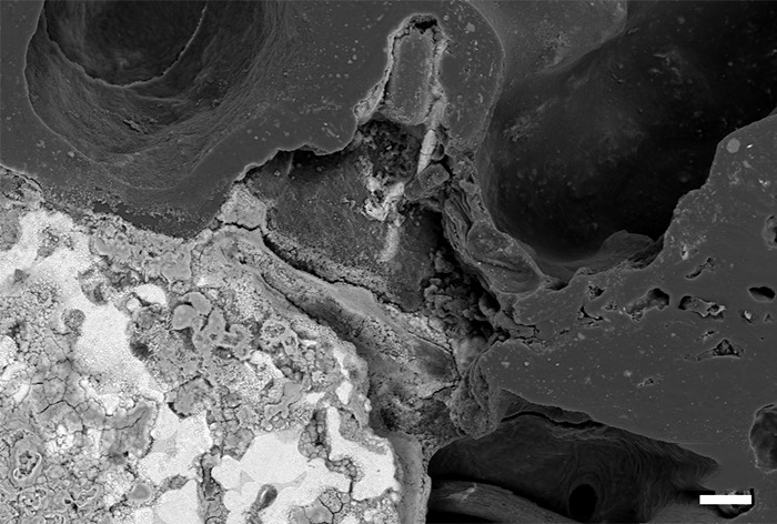 Role of iron ore in enhancing gasification of iron coke: Structural evolution, influence mechanism and kinetic analysis