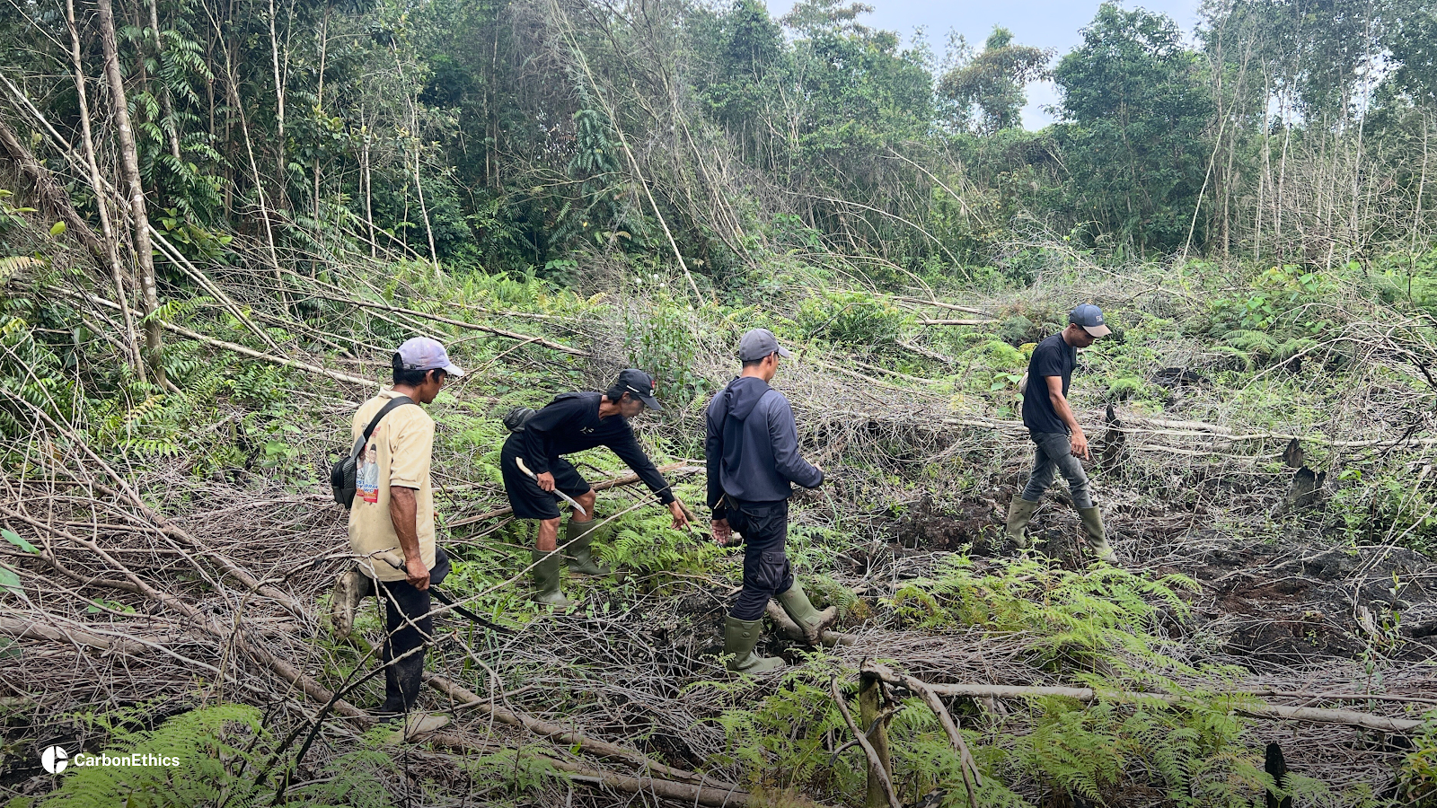 As part of strengthening the forest protection patrol system in the Pulang Pisau PRESERVE – Peatland Restoration and Fire Prevention, the CarbonEthics team has established Forest Protection Patrol teams within the project area.