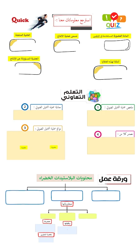 صورة الغلاف
