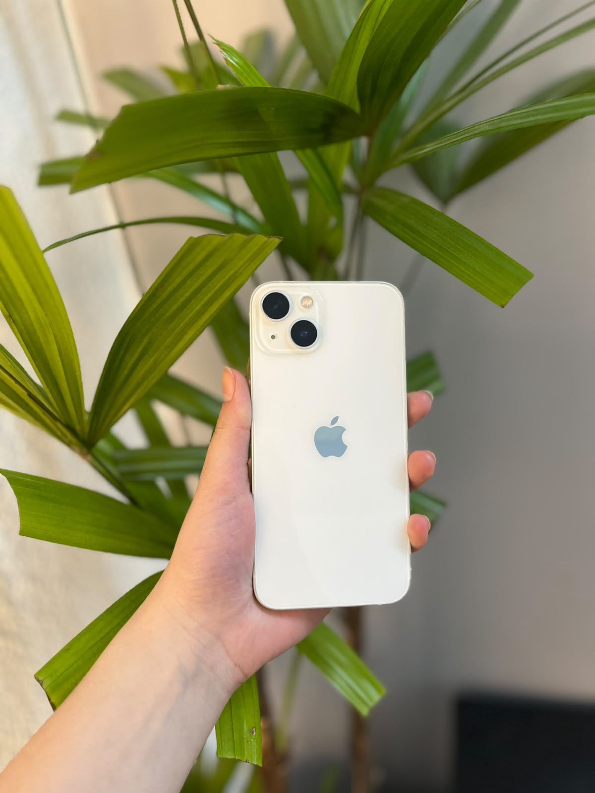 iPhone 13 128GB Branco