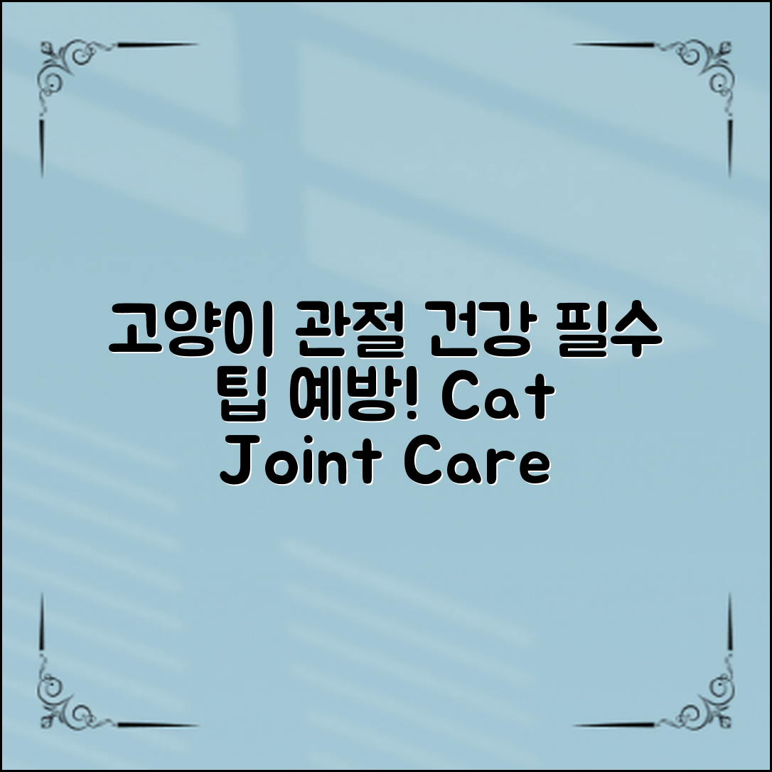 고양이관절건강을 위한 필수 팁과 예방 방법