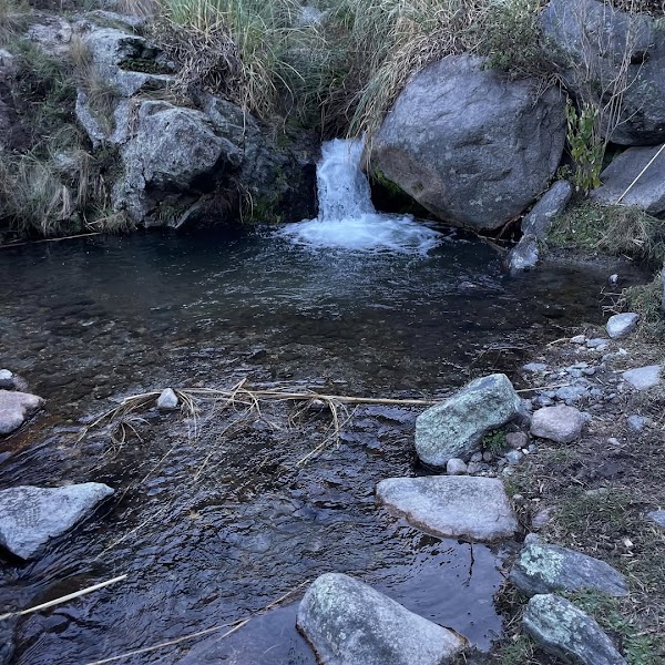 Trek Piedra del Molino y Bosque de Tabaquillos