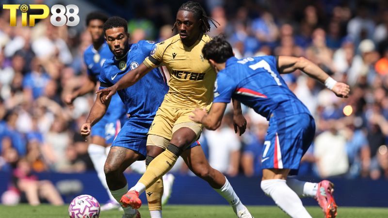 Lịch sử đối đầu giữa Crystal Palace vs Chelsea