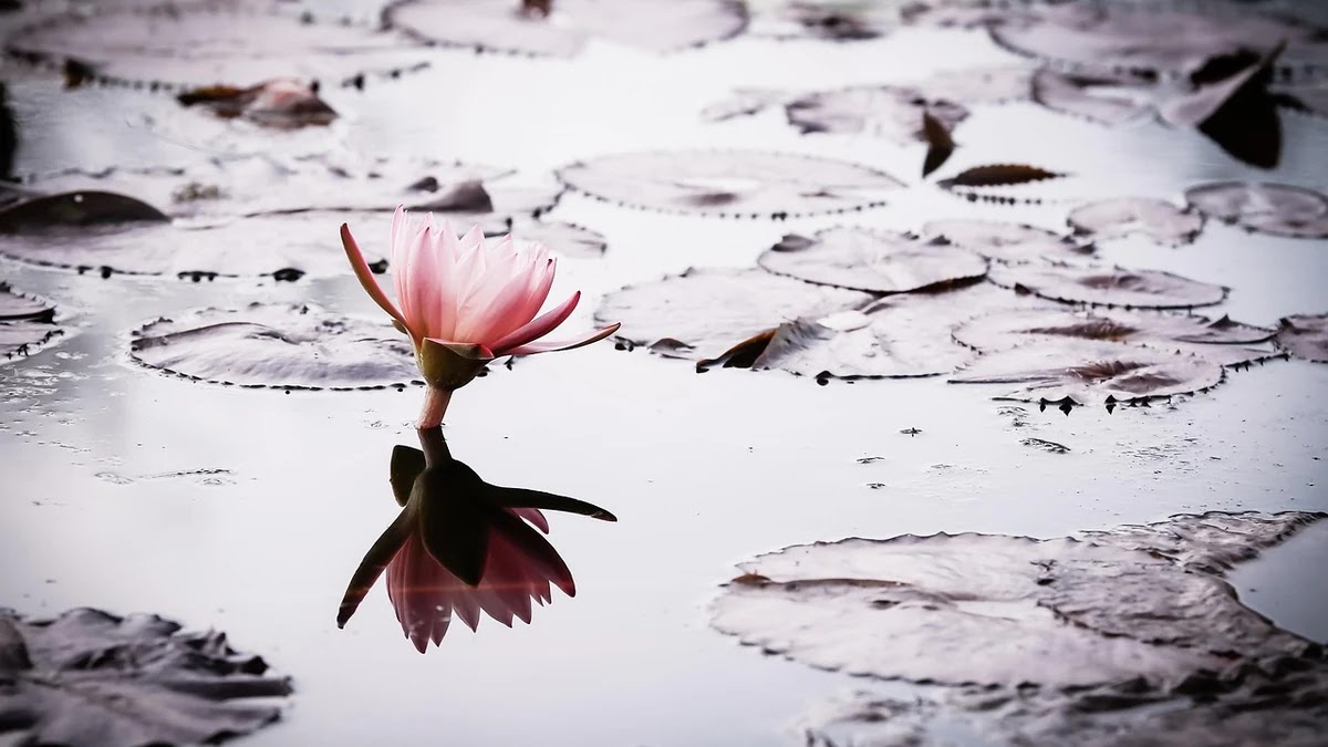 기술창업 지원금, 신청 기준과 절차는