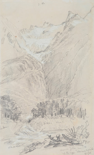 Torrent falling from the South West into the Upper Waimakariri 1866