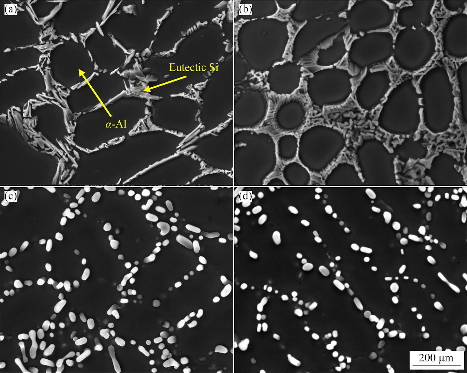 Effects of (Al−Ti−La+Nd) modification and heat treatment on microstructure and properties of Al−7Si alloy