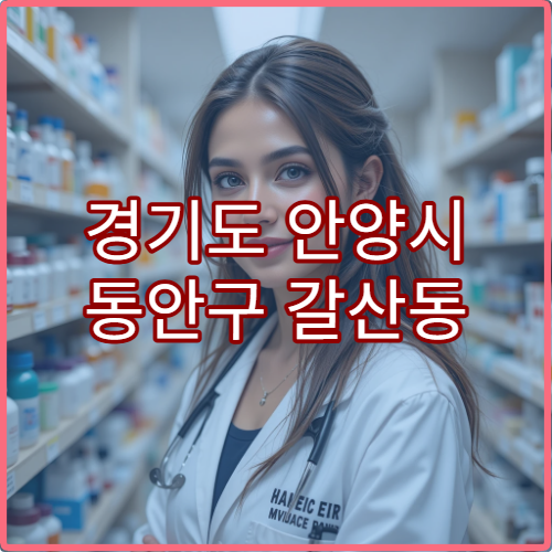 경기도 안양시 동안구 갈산동 일요일 당번약국 문 여는 약국 위치와 운영시간 안내