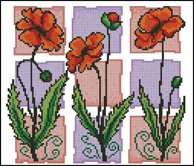 CMP 170374 Three Poppies
