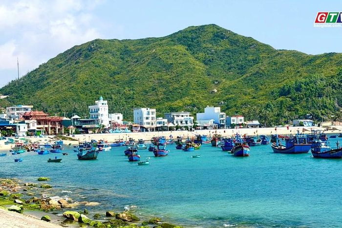 Mùa rêu xanh Nhơn Hải - Báo Gia Lai