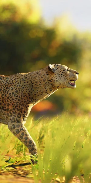 Leopard, Savannah, Wildlife, Predator 4K iPhone Wallpaper Background