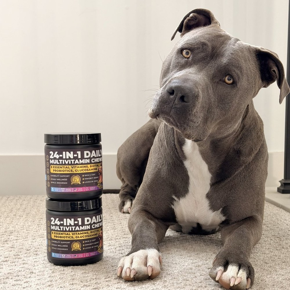 Dog resting beside Pup Choice daily multivitamin chews jars