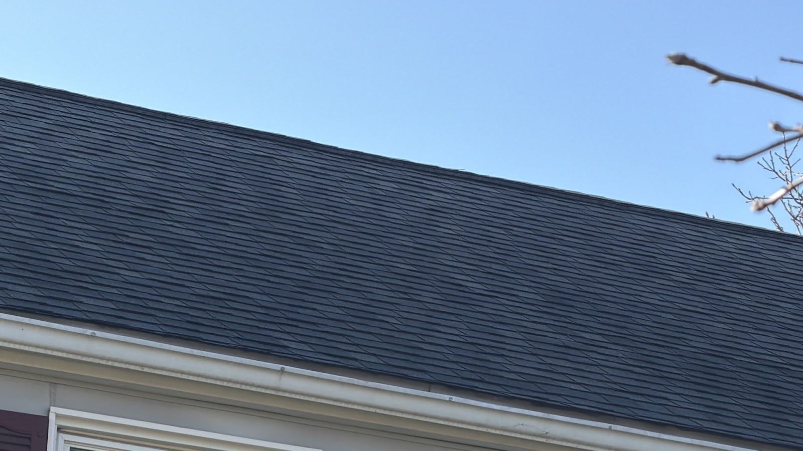 Copy of IMG_2026-03-12_16-53-23_924.jpg