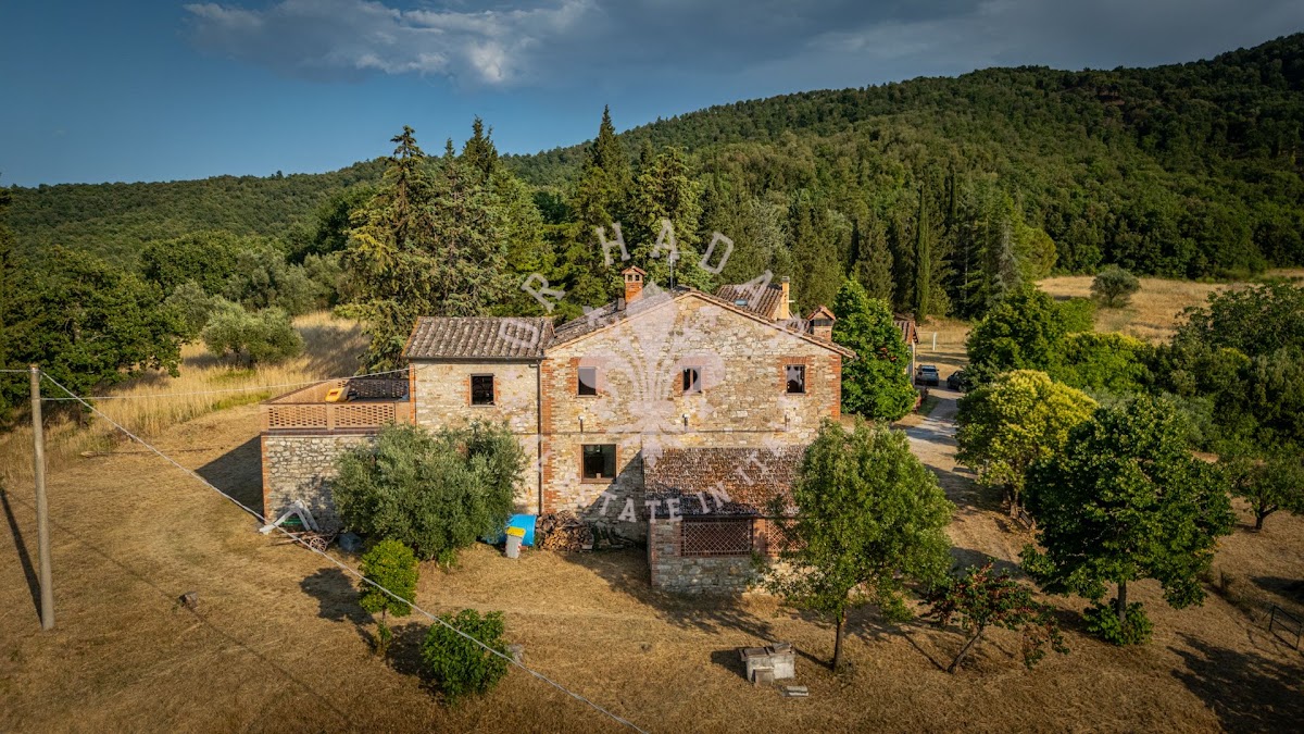 פודרה פוג'ו אל לאגו (Podere Poggio al Lago) — 19