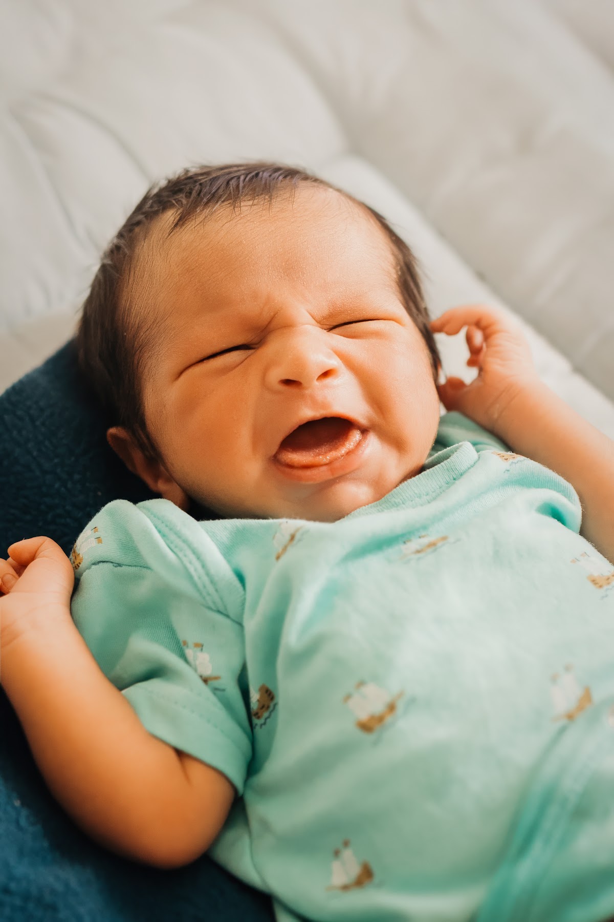 Newborn · 34 frame 2