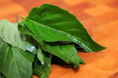 Tía tô, húng quế và húng lũi lấy lá, rửa sạch.