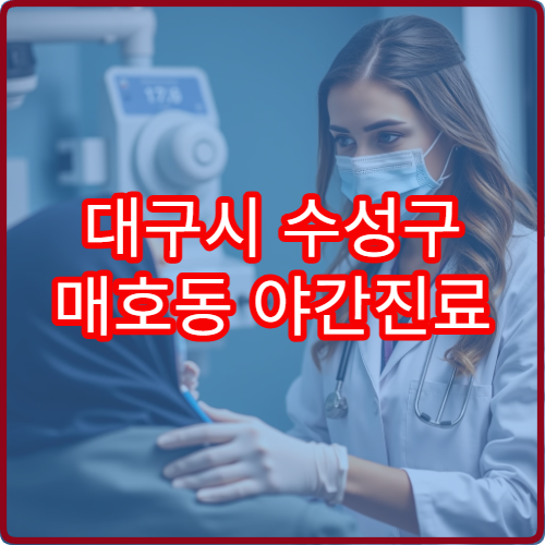 대구시 수성구 매호동 야간진료 내과 병원