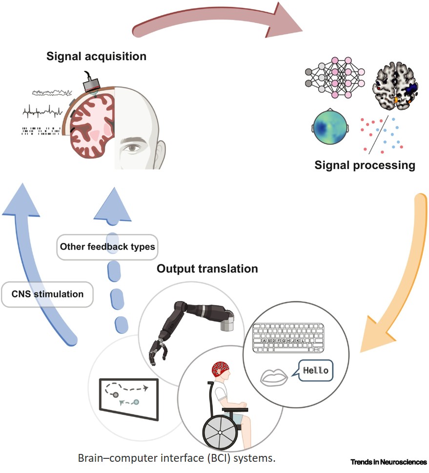 A holistic perspective on noninvasive brain– computer interfaces