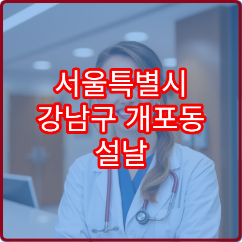 서울특별시 강남구 개포동 설날 명절 연휴 당번약국 개포1·2·4동 주공아파트 근처 조제