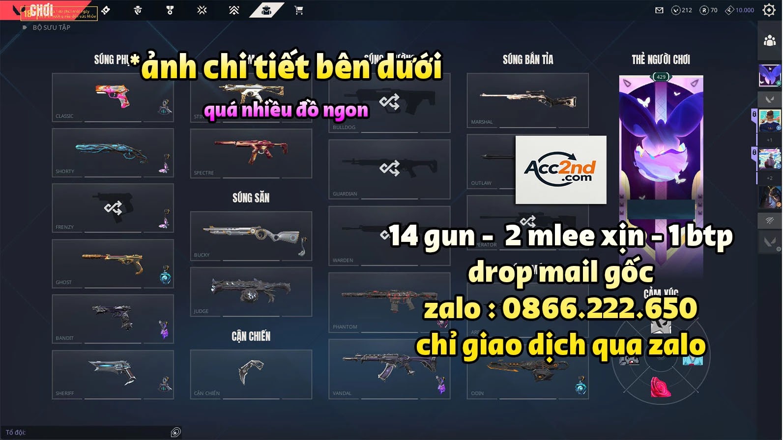 Account Preview