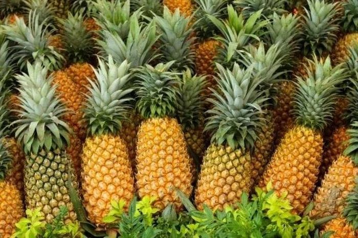 Dứa hỗ trợ tăng chức năng thận nhờ bromelain - Báo Tri thức &amp; Cuộc sống