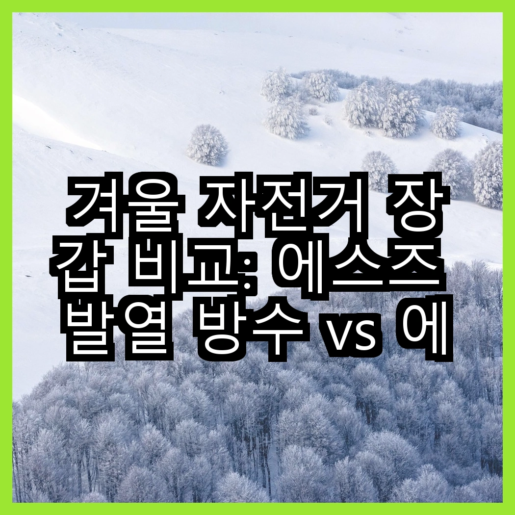 겨울 자전거 장갑 비교: 에스즈 발열 방수 vs 에이빅 터치 장갑, 어떤 선택이 더 좋을까? 썸네일