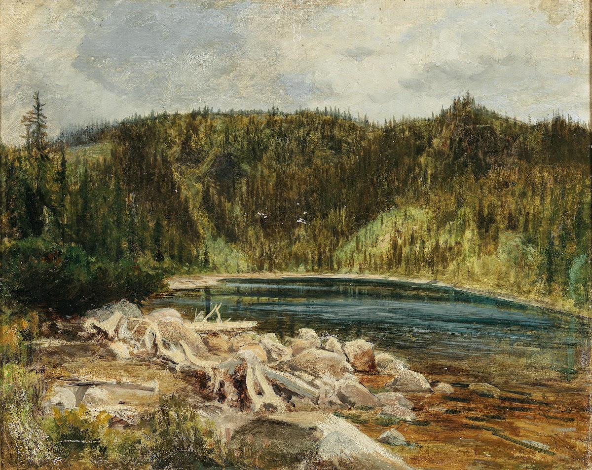 A View of a Lake at the Bohemian forest