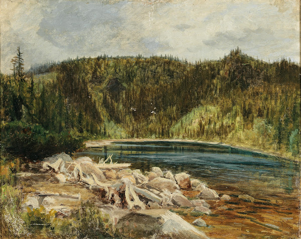 A View of a Lake at the Bohemian forest