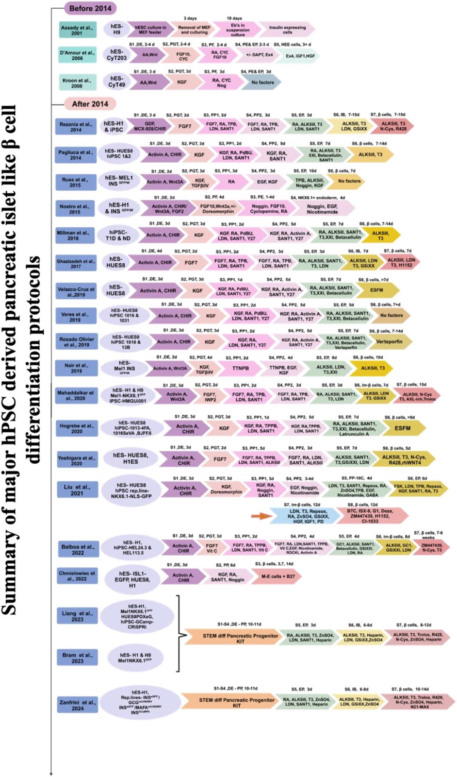 A perfect islet: reviewing recent protocol developments and proposing strategies for stem cell derived functional pancreatic islets