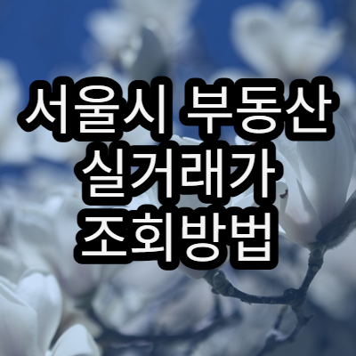 서울시 부동산 실거래가 조회방법 | 2026년 기준 최신 정보