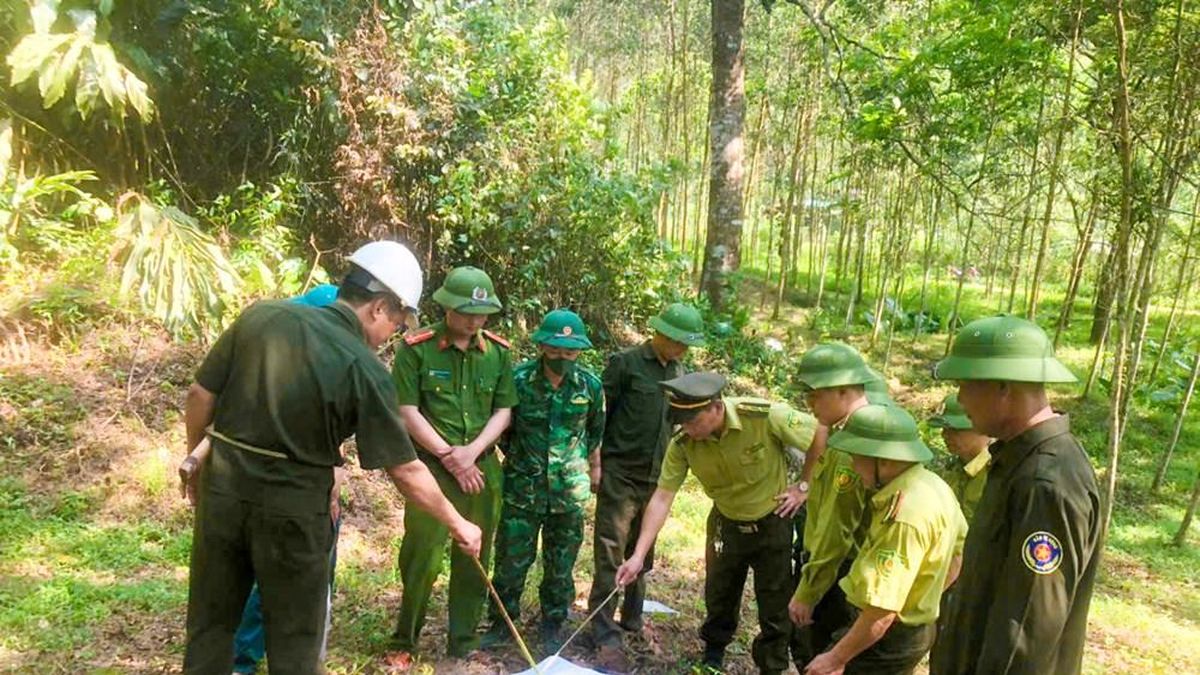 Hà Tĩnh căng mình giữ rừng giữa nắng nóng kỷ lục - Báo Văn hóa