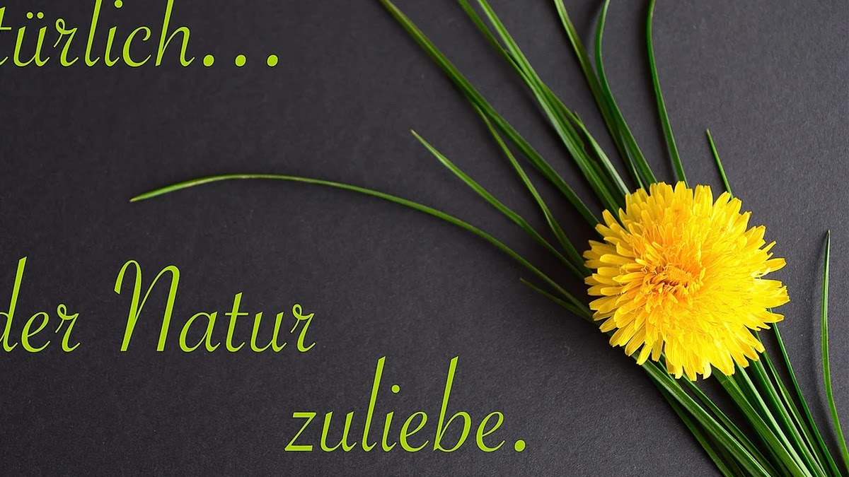 미국 ETF 분배금 세금 처