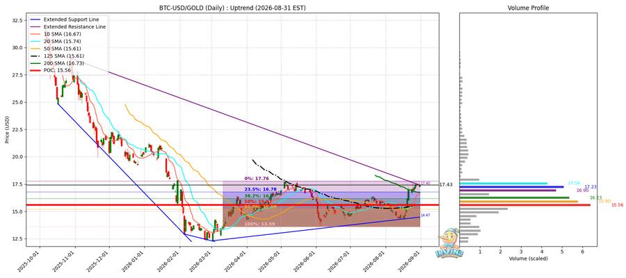 BTC vs Gold 비교