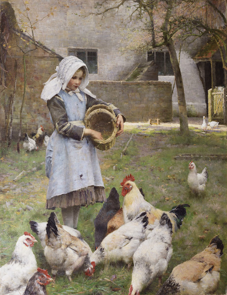 Feeding The Chickens