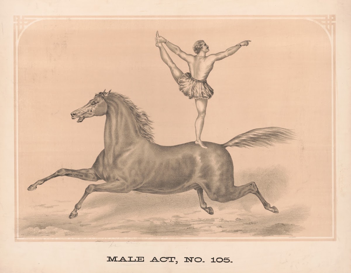 Male act no 105 1872