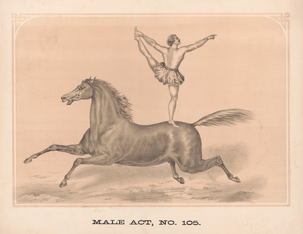 Male act no 105 1872